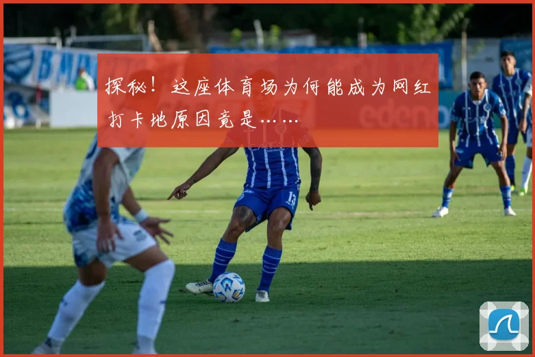 探秘！这座体育场为何能成为网红打卡地原因竟是……